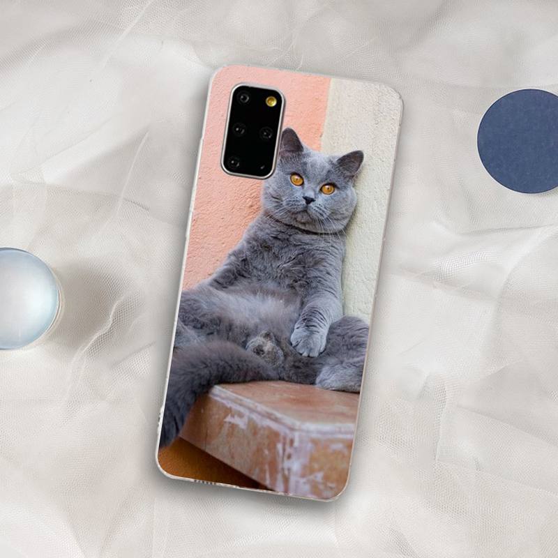 British Shorthair cat Phone Case for Samsung S21 A10 for Redmi Note 7 9 for Huawei P30Pro Honor 8X 10i cover