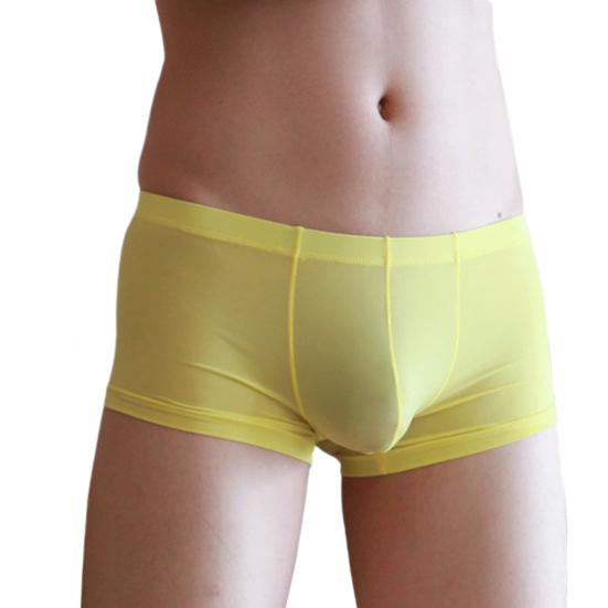 Men Ice Silk Shorts Briefs Transparent See-through Underwear Mid-rise Sexy Elastic Soft Underpants Panties