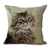New Summer Retro Style Home Pillowcase Animal Cartoon Printed Pillowcase