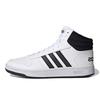 Hoops 2.0 Mid 'White Black' Sneakers FY8617