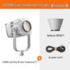 Godox LE600Bi Bi-Color LED Video Light