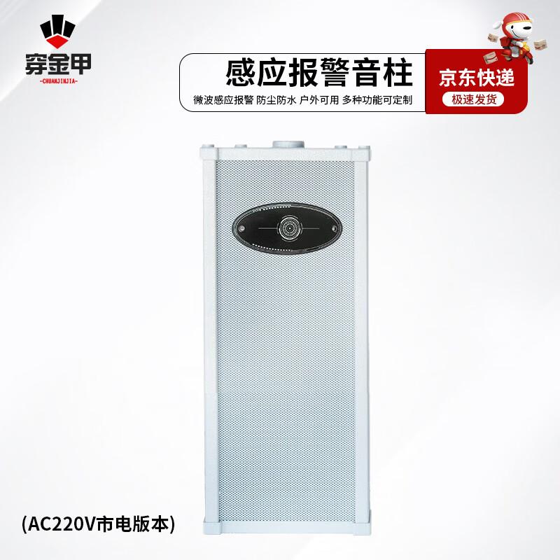 Solar Powered Sound & Light Alarm System