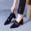 Spitze High Heels Damen Frühling Schwarz Dicke Ferse Ein-Pedal Damen Einzelne Schuhe Schlicht und Großzügig Arbeitsschuhe