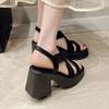 Fashion 2025waterproof platform,  summer new style, thick heel, square head, toe exposed, Roman, retro, black, French women's sandals
