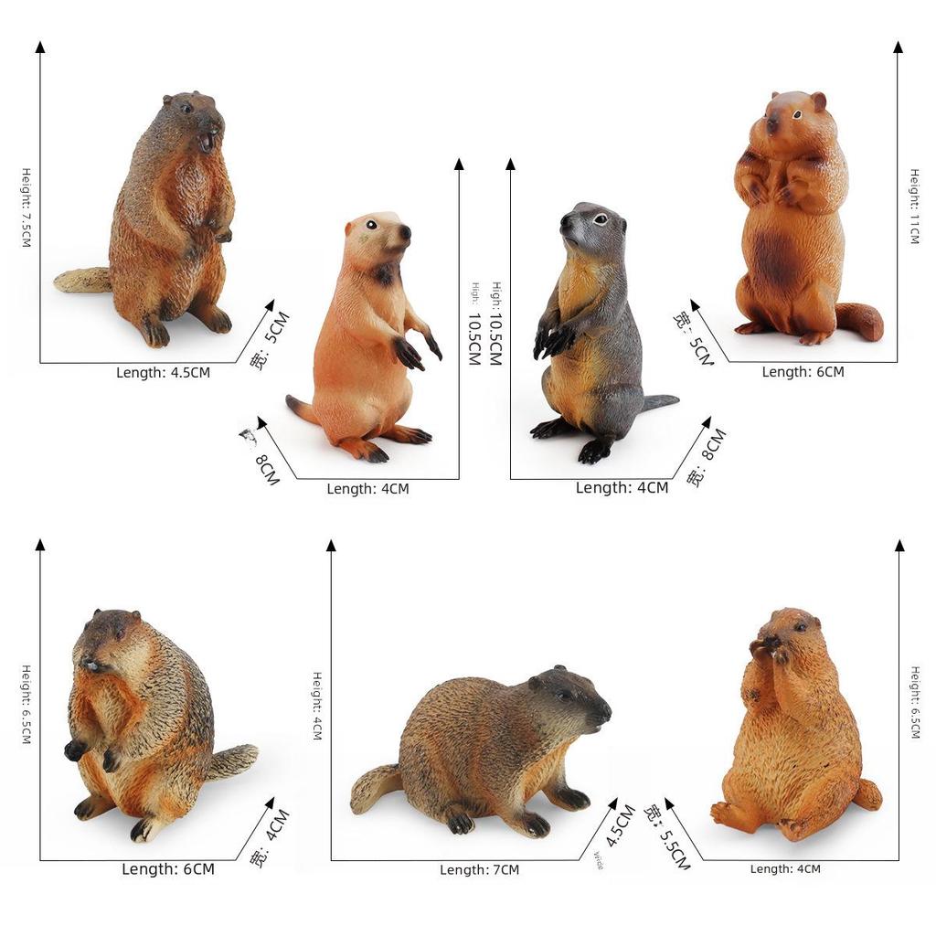 Wild Animal Models: Handmade Groundhog, Squirrel, and Chipmunk Forest Ornaments