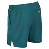 Regatta Mens Hilston 2 in 1 Shorts