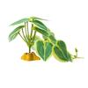 Reptiles Plant Grass for Climbing Habitat Decors Branch with Leaves for Lizards Spiders Snake Geckos Hideouts