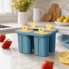 Blue Yellow Ice Cream Mold PP Ice Lolly Mold Durable Popsicle Mold  Homemade Treats
