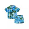 Summer Kids Beach Coconut Tree Boys' Short Sleeve & Shorts Set