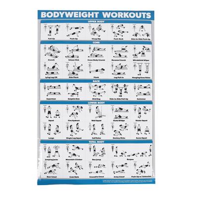 60x90cm Workout Charts Clear Rugged Easy Reading Bodyweight Exercises Poster for Home Gyms Studios