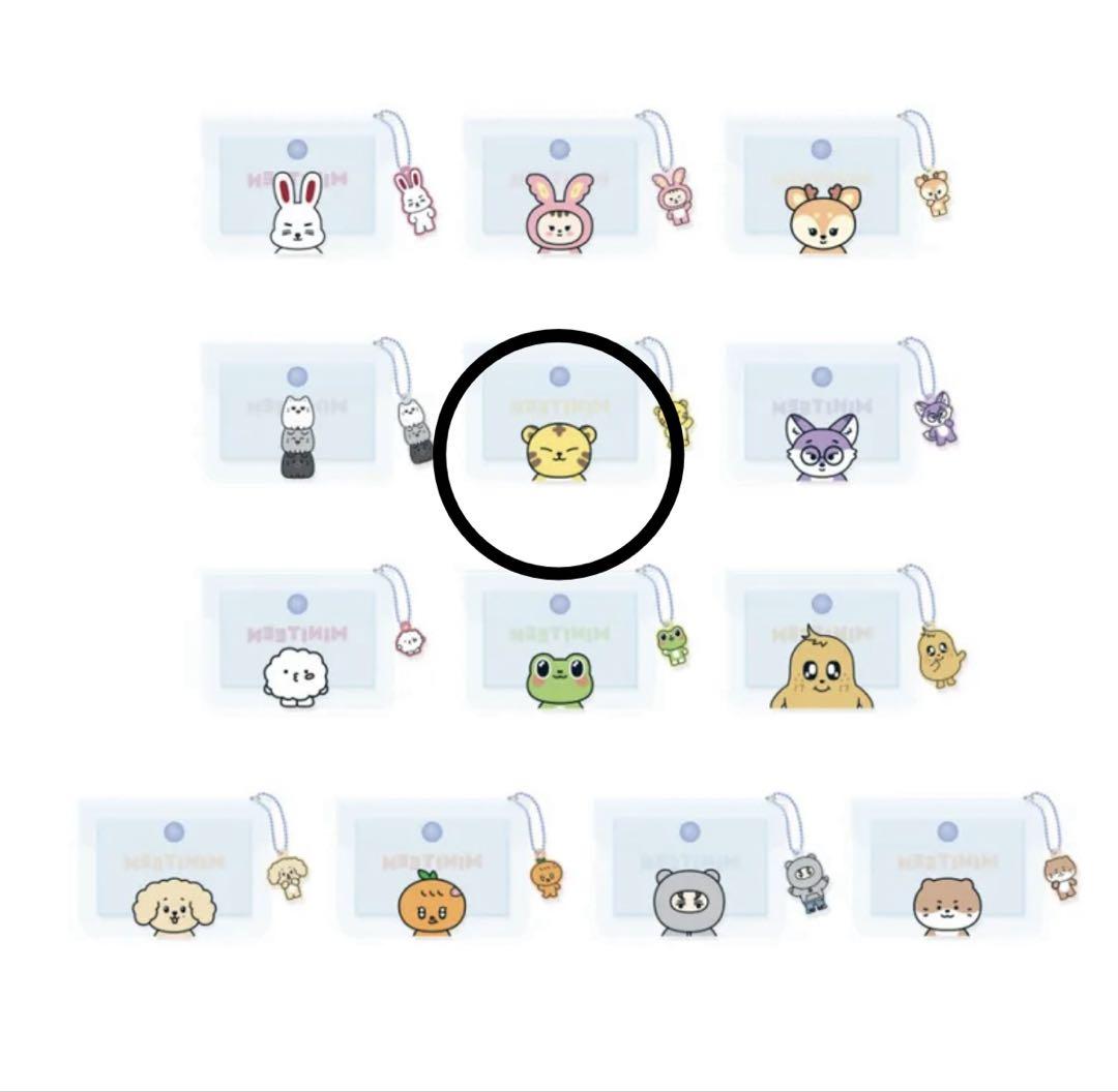 

[USED] MINITEEN Clear Pouch TAMTAM (Not sold in Japan)