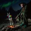 Led Dog Collar,usb Rechargeable Glowing Pet Safety Collar,adjustable L