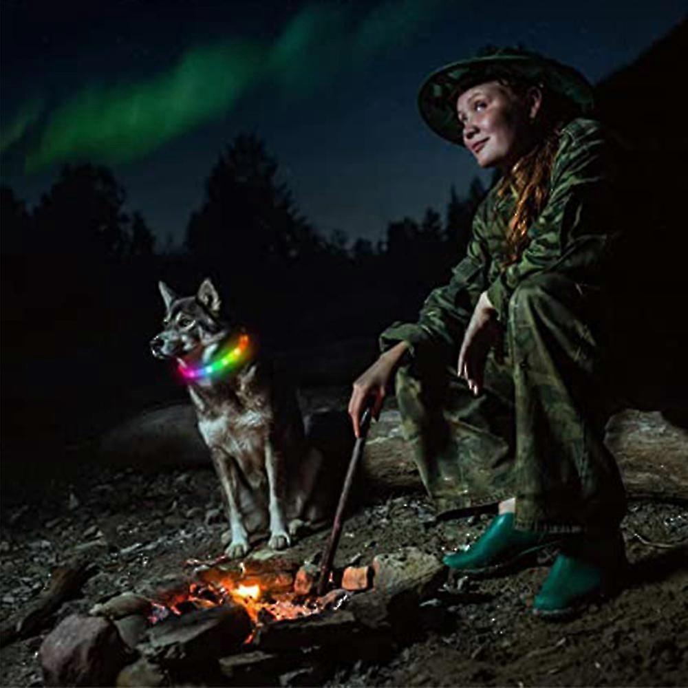 Led Dog Collar,usb Rechargeable Glowing Pet Safety Collar,adjustable L