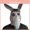 Máscara Engraçada de Burro Para Role Play Com Material de Látex Para Fantasias de Festa