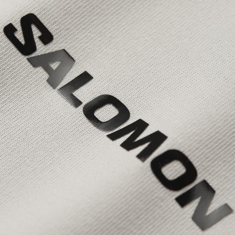 Salomon Amphi Power Dry Short Sleeve T-Shirt Men Tops Ethereal-Brown C28506