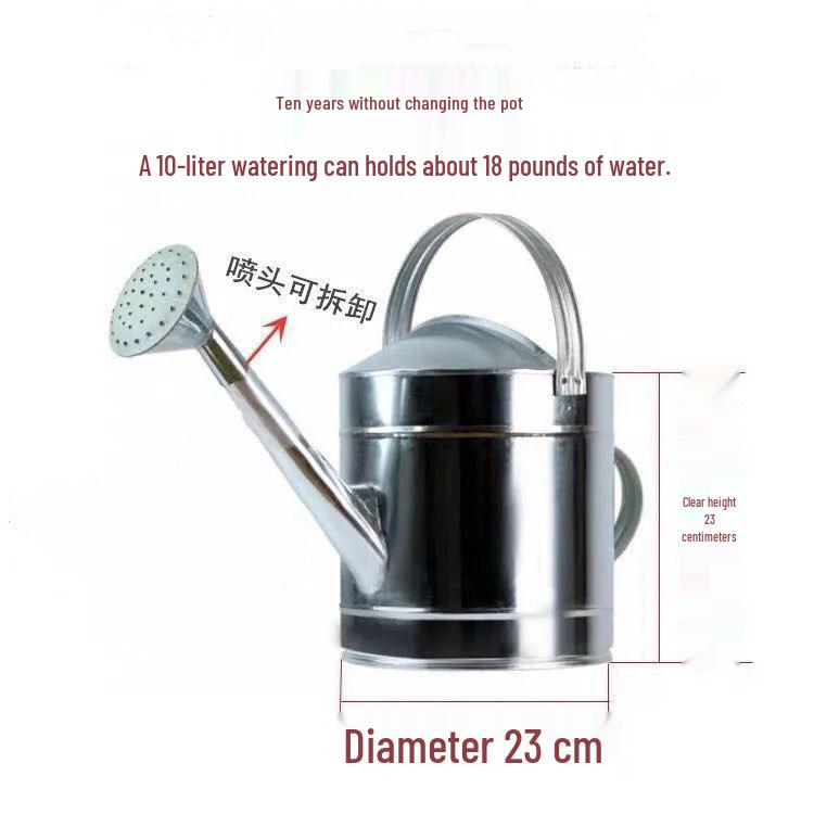 Tin Watering Can: Large Capacity for Vegetables & Flowers, with Spray Nozzle