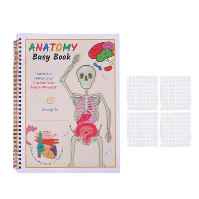 Human Body Anatomy Book for Toddlers Interactive Preschool Learning Human Body Anatomy Book