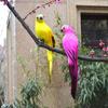 1PC 6 Colors 25cm 35cm Simulation Parrots Birds Artificial Parrots Birds White Parrots Garden Decoration