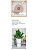 Large Light Luxury Ceramic Flower Pot for Floor or Table, XL Diameter, Album Style for Green Plants & Silk Flowers