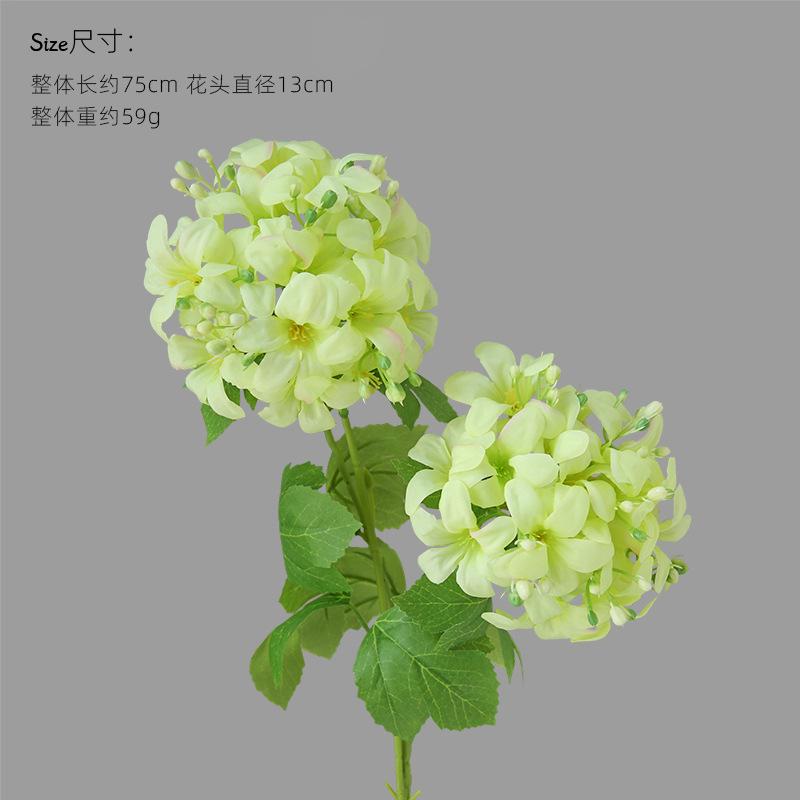 

Simulated Flower 2 Heads Hydrangea European Style Indoor Dining Table Bouquet Room Vase Decoration Flower Arrangement Silk Props 3pcs зелёный
