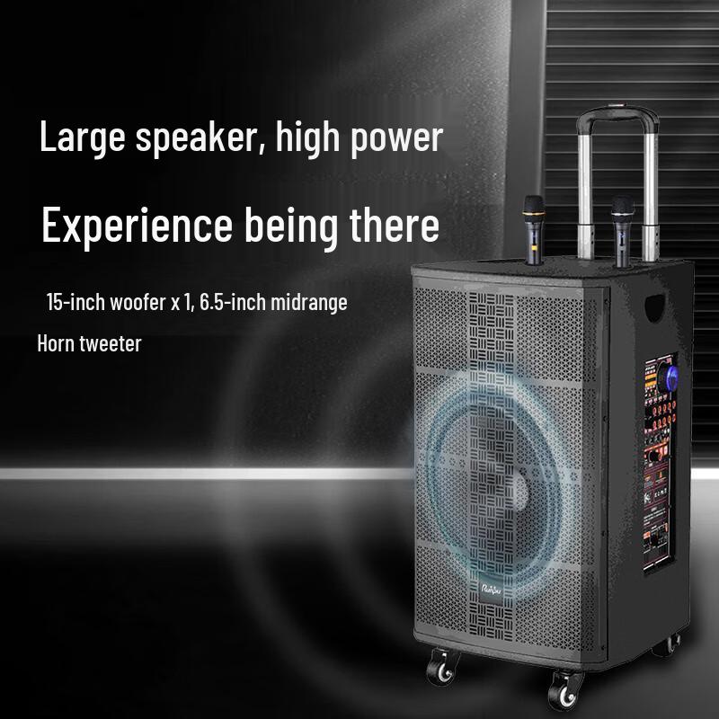 Runpu 15-inch 3-Way Portable PA System with Microphone (CN version)