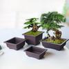 Rechteckige Bonsai-Trainingsschalen Plastik-Blumentopf mit Untersetzer Sukkulenten-Pflanztopf Bonsai-Pflanzen Anzuchttöpfe Heimdeko