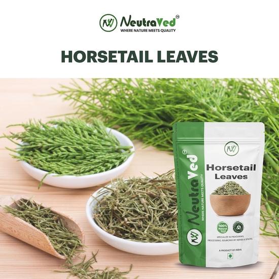 NeutraVed Combo Of Rosemary Horsetail Leaves for Hair Growth, Skin & Bone Health| - (50g each) Rosemary leaves & Horsetail leaves - 100g