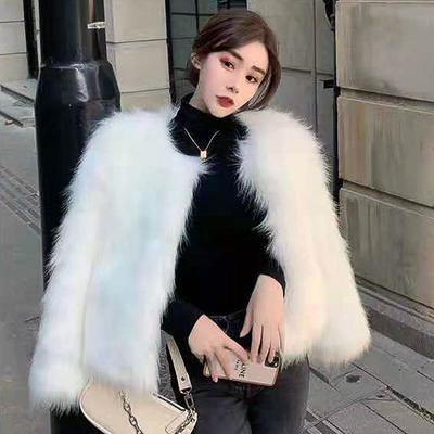 Automne et Hiver Nouvelle Mode Manteau en Fourrure Imitation Renard Manteau en Fourrure Court Slim et Mince pour Femme Tendance