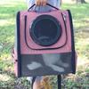 Breathable Transparent Cat Backpack with Detachable Double-Shoulder Design