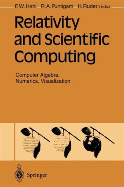 Kniha Relativity and Scientific Computing : Computer Algebra, Numerics, Visualization