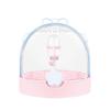 Large Space Portable Hamster Cage Transparent with Water Bottle Hamster Outgoing Case Anti-bite Safety Lock Small Animal Carrier