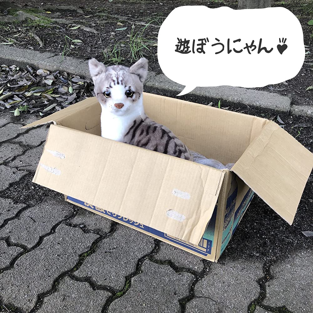 Tiger Tale Toys Realistic Cat Plush Cute Pet for Girls and Boys Toy, 35cm, Cat, (American Shorthair)