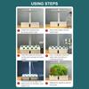Hydroponics Growing System Indoor Herb Garden Kit Automatic Timing Height Adjustable LED Grow Lights Smart Water Pump for Home