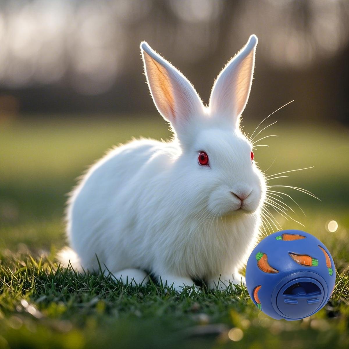 Chenxiaogang Blue Rabbit Carrot Treat Dispenser Ball