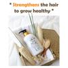Elizavecca Collagen Coating Hair Muscle Shampoo CER-100 500ml (3 Different Quantities)