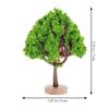 NOLITOY Miniature Tree Models - Street Trees, Landscape Trees, Diorama Trees, Garden Trees, Sand Table, Home Decoration, Miniature Garden Ornament -