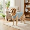 Round Neck Pet Striped T-Shirt Soft Dog Sunscreen Vest Pet Pajamas Pet Summer Clothes  Home Clothes