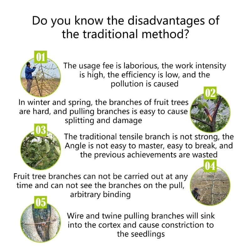 Steel Fruit Tree Shaping and Bending Tools 15 Pack 3 Sizes Branch Positioners Puller For Optimized Sunlight Exposure