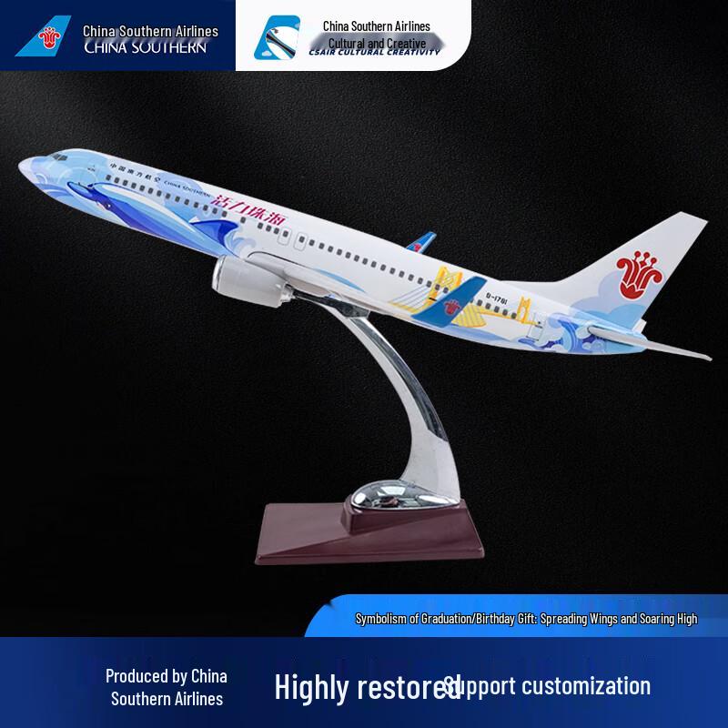 China Southern B737 Model Airplane