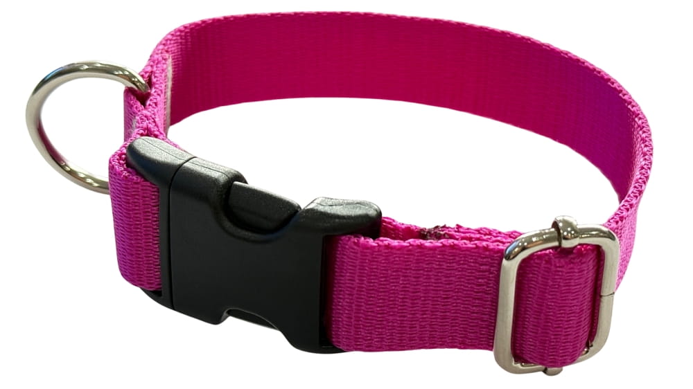 Dog Collar 2 cm with buckle Adjustable Fuchsia Fasten Dog Collar 2 cm with buckle Adjustable Fuchsia Fasten L: 40-55cm