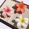 Neue Hawaiian Gradient Blume Haar Klaue Clip Frauen Mode Große Haar Clip Mädchen Haarnadel Barrettes Böhmen Haar Zubehör