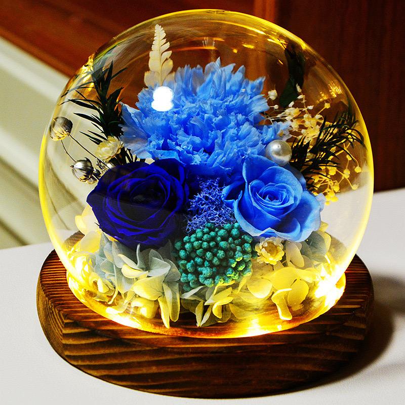 Real Rose Flower Gifts for Women, Birthday Gifts For Women,Womens Gifts for Christmas, Light Up Rose In A Glass Dome,Flower Gifts For Her,Anniversary