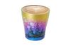 HORIE Made in Niigata Prefecture Pure Titanium Double Tumbler 250cc Snow Flower Aurora Set 2 T15SK250ARSET Tsubame,