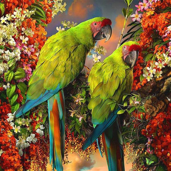 5D Diamond Painting Wolf Full Square Round Needlework Art Diamond Embroidery Dog Cat Animal Mosaic Handmade Gift