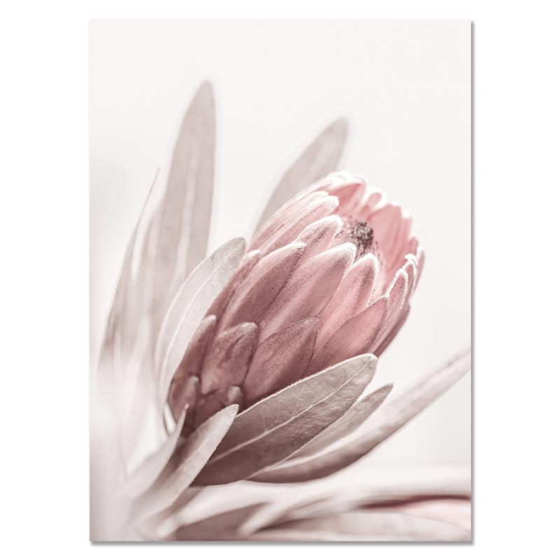 

Розовый цветок розы постер в скандинавском стиле с цветочным ботаническим принтом, холст, картина, простота, настенная живопись, скандинавский домашний декор 60x80cm No Frame