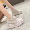 10CM High Heels Autumn Chunky Sneakers for Women 2025 New Platform Sports Mesh Shoes Woman Lace-up Thick Bottom Dad Shoes Ladies