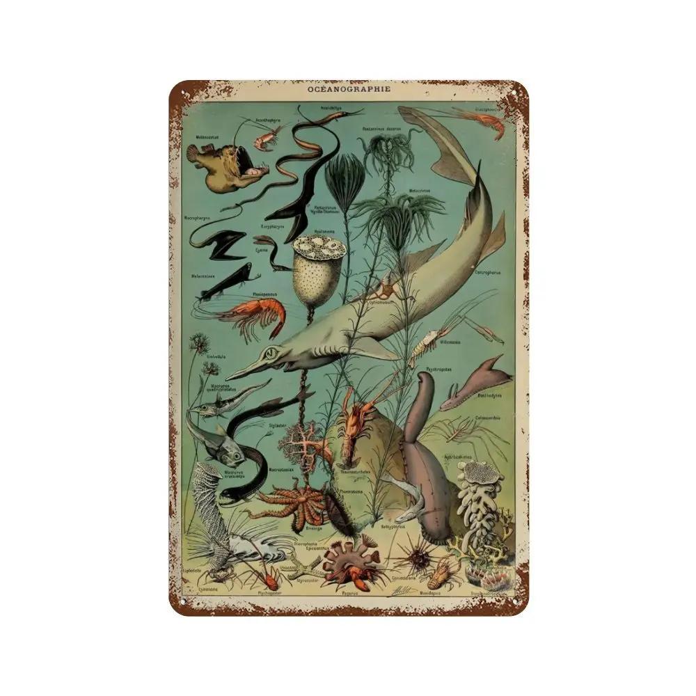 Vintage Pilz Medizin Blume Insekt Schmetterling Gemüse Kürbis Karotte Metall Aluminium Schilder Heim Zimmer Garten Wandkunst Pla