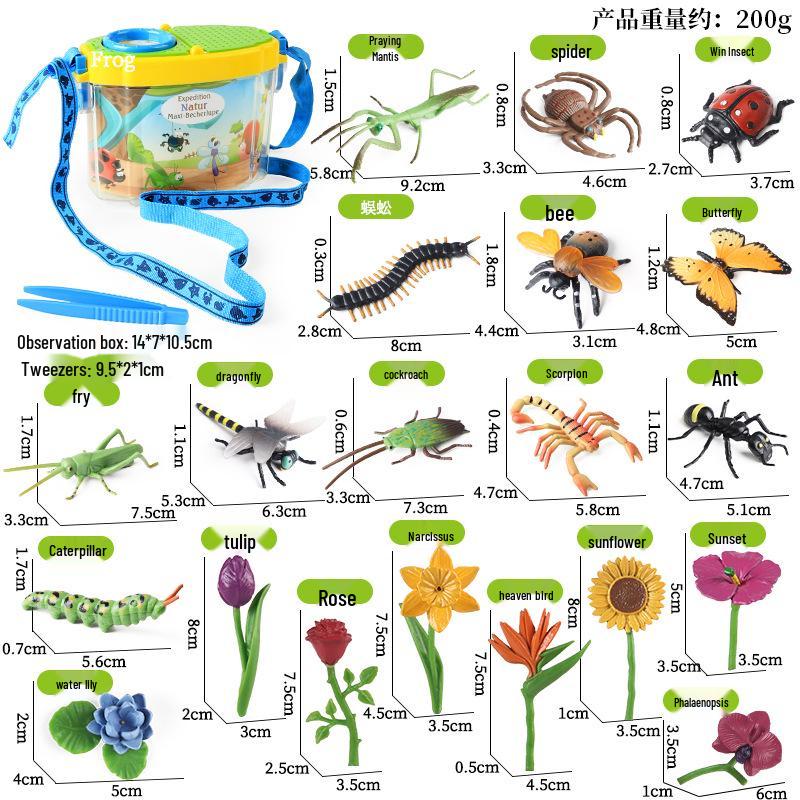 Children's Insect Observation Box: Soft Plastic Butterfly, Mantis, Bee Simulation Set