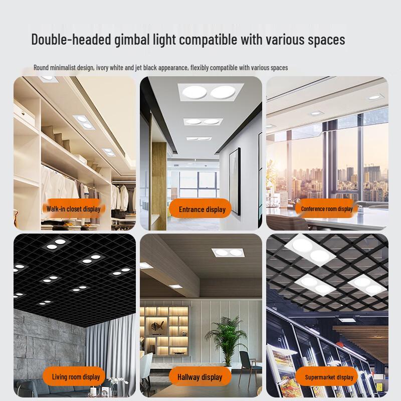 OEING Rectangular Double-Head Recessed Downlight