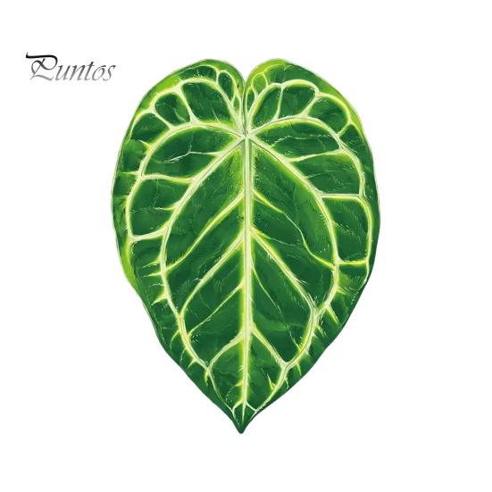 Tropical Plant Refrigerator Magnets 3D Plants Magnet, Acrylic Green Decorative Fridge Home Decor Memo Notes Photo Holder for Kitchen Office